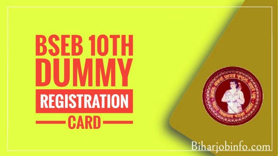 bseb 10th dummy registration card